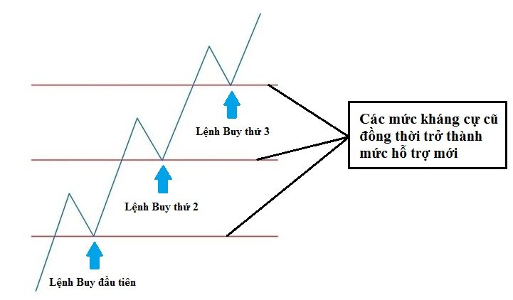 Chiến lược Pyramid trong Forex là gì?
