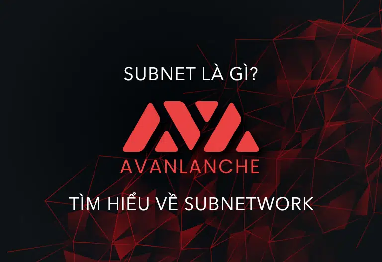Subnet là gì? Tìm hiểu về Subnetwork “Vũ khí tối thượng” của Avax Scaling
