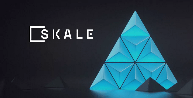 SKALE Network, nên mua coin Layer 2 nào?