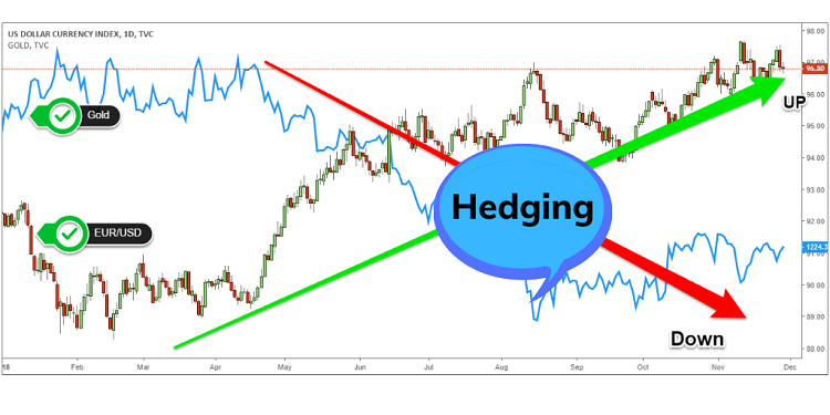 Hedging là gì? Hedge là gì?