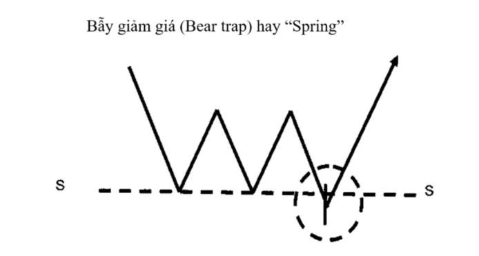 Bear Trap là gì? Phương pháp nhận biết và tránh “bẫy giảm giá”