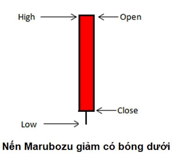 Nến Marubozu giảm với bóng dưới