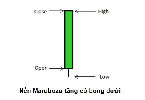 Nến Marubozu tăng không có bóng trên