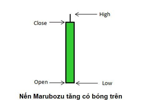 Nến Marubozu tăng không có bóng dưới