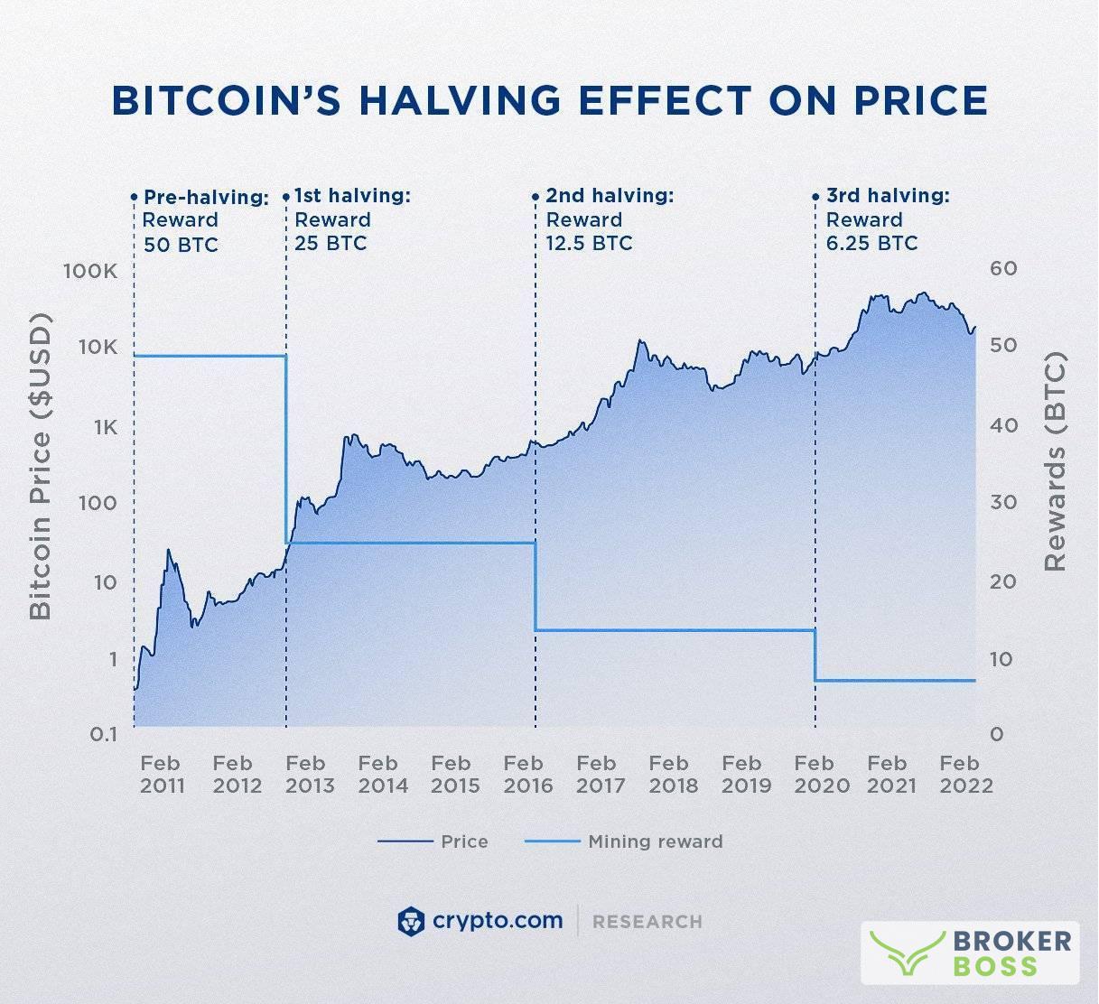 Biến động giá Bitcoin sau mỗi lần having. Nguồn Crypto.com 