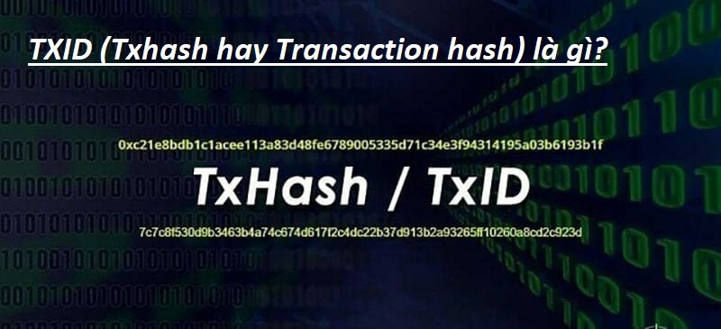 Khám phá TXID (Txhash hay Transaction hash): Khái niệm và Cách Kiểm Tra Giao Dịch Coin